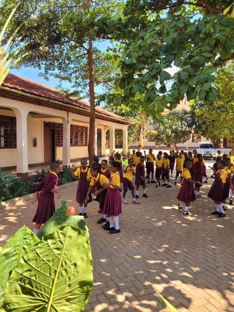 Pupils playing in the paved school compound